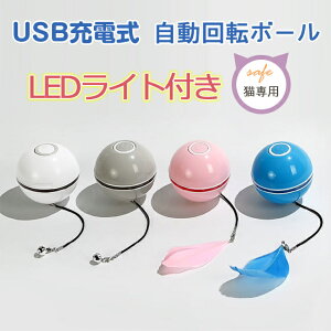 L d {[ Z[ ] L炵 Led{[ USB[d XgX ^s 4J[ Ht t RpNg ybg ˂ lR 2025