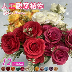 v3,980~ȏ㑗 lHϗtA tFCNO[ ԑ  t[  t fR[V  Cxg p[eB[ t[AWg Xܑ [Y ubV A[e