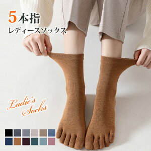  3Zbg jO\bNX C V[g\bNX fB[X p 5{w \bNX ܖ{w X|[c\bNX ܖ{w\bNX Xj[J[\bNX   