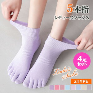  4Zbg jO\bNX C V[g\bNX fB[X p 5{w \bNX ܖ{w X|[c\bNX ܖ{w\bNX Xj[J[\bNX   