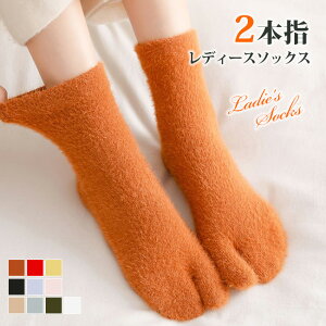  2Zbg 2{w\bNX C V[g\bNX fB[X p 2{w \bNX ӂӂ [EFA {w\bNX Xj[J[\bNX    JW