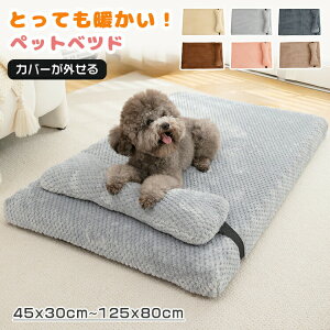 ybgxbh h t ~ g 悹 łjɂ Vv lC  L ^ t H ۉ h  ^ //^ p ̑^  킢 