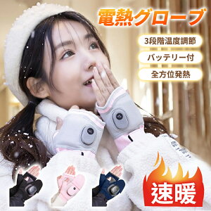 電熱グローブ 電熱手袋 バイク グローブ USB式給電 3段階温度調節 全方位発熱 長時間連続 ヒーターグローブ タッチパネル対応 丸洗い 滑り止め 防寒手袋 防水 防風 アウトドアグローブ 多機