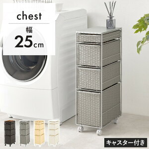 yP10{F12/1 00:00 - 12/1 23:59zh[`FXg 25×40×85cm LX^[t [ ʏ 