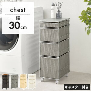 yP10{F12/1 00:00 - 12/1 23:59zh[`FXg 30×40×85cm LX^[t [ ʏ 