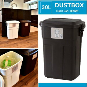 【P10倍:10/24 20:00 - 10/27 09:59】ごみ箱 おしゃれ ダストボックス 屋内・屋外 キッチン ゴミ箱 30L ブラウン