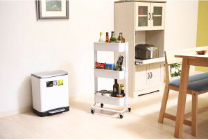 yP10{F11/20 20:00 - 11/27 01:59zLb`S  3ioXPbg X LX^[t k 39×s27×78.5cm zCg