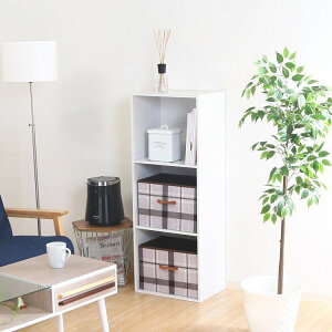 yP10{F11/1 00:00 - 11/1 23:59zJ[{bNX 3i 2Zbg [I 41.8×s29×111cm zCg