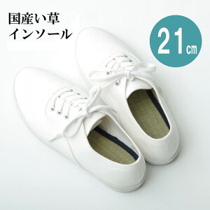 yP10{F12/1 00:00 - 12/1 23:59zC\[ 21cm ǂ ėp L R 