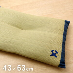 �yP10�{�z�� �ᔽ�� �ėp �n�C�o�[ ��43×63cm ���L ���̓� �v���[���g