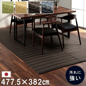 yP10{F9/19 20:00 - 9/24 01:59zW[V[g 10 477.5×382cm { 􂦂 PPJ[ybg Ԍ ^