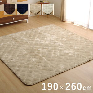 yP10{F11/4 20:00 - 11/11 01:59z~zc 3 190×260cm ` LgO 􂦂