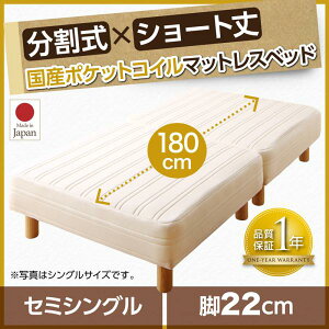 �yP10�{�F12/19 20:00 - 12/26 01:59�z�r�t���}�b�g���X�x�b�h �Z�~�V���O���x�b�h ���Y�|�P�b�g�R�C�� �r22cm �V���[�g��2�����}�b�g���X