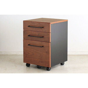 fXNS 3i 40cm TCh`FXg ؐ LX^[t uE