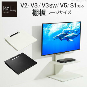 �yP10�{�z�e���r�X�^���hWALL��p�I�v�V���� V3�EV2�ES1�Ή� �I�� �������