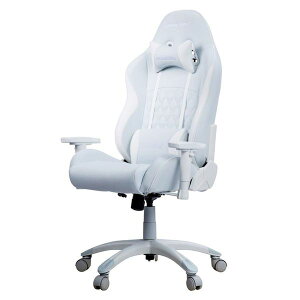 �yP10�{�zAKRacing �Q�[�~���O�`�F�A �{�c���R���{���f��