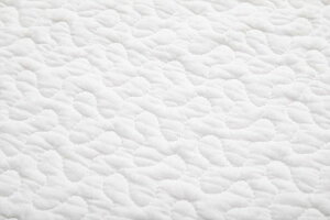 yP10{F11/14 10:00 - 11/16 23:59zCu O}bg ~Zbg 100 3 190×240cm ` 􂦂 LeBO ؍