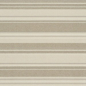 �yP10�{�F4/14 20:00 - 4/17 09:59�z�_�C�j���O�}�b�g ���� 240×330cm ������� �h�� �h�_�j �R��