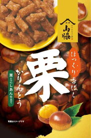 山脇製菓 栗かりんとう 100g×6袋