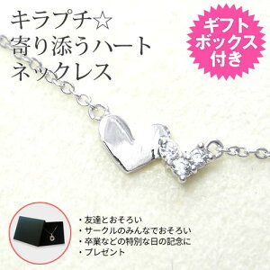 ݌ɌyyzLv`Yn[glbNX Mtg{bNXt L[rbNWRjA