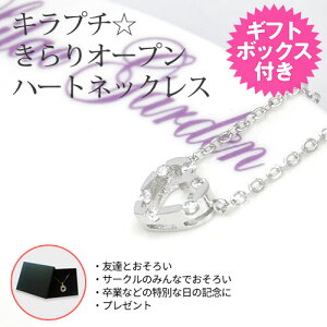 ݌ɌyyzLv`I[vn[glbNX Mtg{bNXt L[rbNWRjA