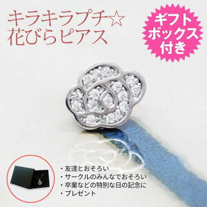 ݌ɌyyzLLv`ԂтsAX Mtg{bNXt L[rbNWRjA