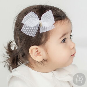 xr[{wAs wAs xr[ 킢 { wAs [X{ o oYj Ԃ wAANZT[  wANbv