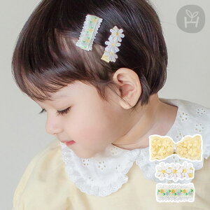 VA xr[ t[ wANbv Zbg wAANZT[ ԕ [X  zCg t  3_Zbg wAs wA