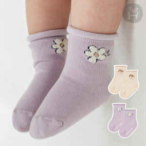 G^[ [ xr[ \bNX Ԃ x[W C ̂ hイ [Abv vg H