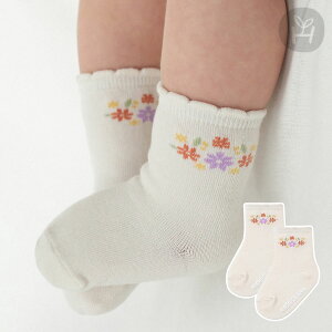 VAi[ xr[ \bNX Ԃ ԕ AC{[ t[vg H t ~