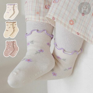 t[ t \bNX ԕ t C ԂC xr[\bNX t[vg AC{[  sN x[W uE