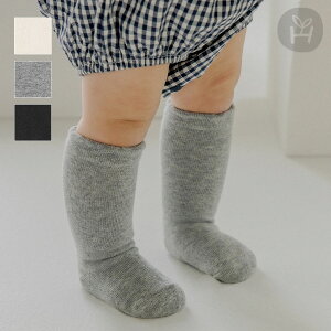 m xr[ j[\bNX mg[ ubN O[ AC{[ fC[ C   v[ n ~ߕt Ԃ C xr[\bNX ~ߕt ۈ牀 ct ʉ