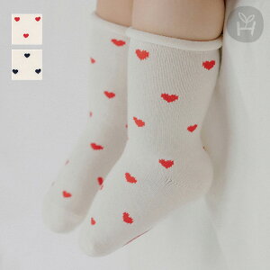 2024FWG[ [O xr[ \bNX n[g AC{[ bh lCr[ Ԃ C xr[\bNX ~ߕt ۈ牀 ct ʉ