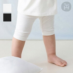 sAx[VbN 7 MX   zCg ubN TCYLx G̗ǂ eZ[_ Xpbc Ԃ {gX ₷ JWA tH[} o