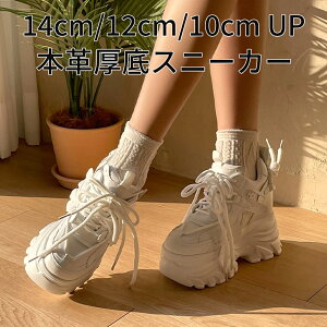 {v X^fBO Xj[J[ 01 zCg 14cm 12cm 10cm gAbv _bhXj[J[ fB[X 킢   Cu RT[g g C tFXeBo Cxg