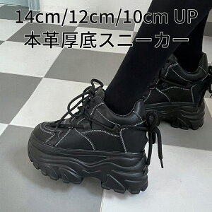 {v X^fBO Xj[J[ 03 ubN 14cm 12cm 10cm gAbv _bhXj[J[ fB[X 킢   Cu RT[g g C tFXeBo Cxg