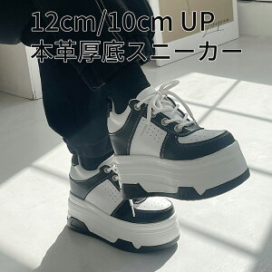 {v X^fBO Xj[J[ 05zCg+ubN 12cm 10cm gAbv _bhXj[J[ fB[X 킢   Cu RT[g g C tFXeBo Cx