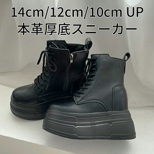 {v X^fBO Xj[J[u[c 06 ubN 14cm 12cm 10cm gAbv _bhXj[J[ fB[X 킢   Cu RT[g g C tFXeBo C