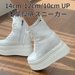 {v X^fBO Xj[J[u[c06 zCg 14cm 12cm 10cm gAbv _bhXj[J[ fB[X 킢   Cu RT[g g C tFXeBo C