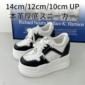 {v X^fBO Xj[J[ 07 ubN+zCg 14cm 12cm 10cm gAbv _bhXj[J[ fB[X 킢   Cu RT[g g C tFXeBo 