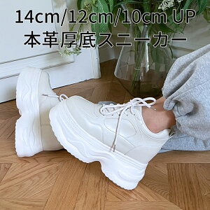 {v X^fBO Xj[J[ 08 zCg 14cm 12cm 10cm gAbv _bhXj[J[ fB[X 킢   Cu RT[g g C tFXeBo Cxg