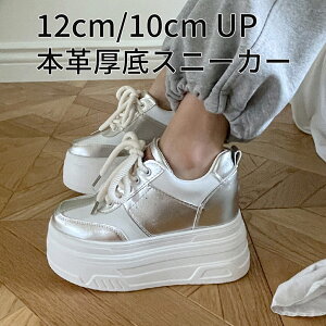 {v X^fBO Xj[J[ 09 Vo[ 12cm 10cm gAbv _bhXj[J[ fB[X 킢   Cu RT[g g C tFXeBo Cxg