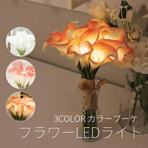 3F J[u[P LED J[B A[gt[ u[PCg VIA K Ki ؍CeA  ̓Mtg ̓v[g ` p