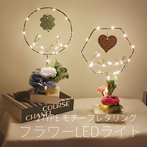 2F t[ LUCKLOVE LED N[o[ n[g Cg A[gt[ t[Cg VIA K Ki ؍CeA  ̓Mtg ̓v[g ` p