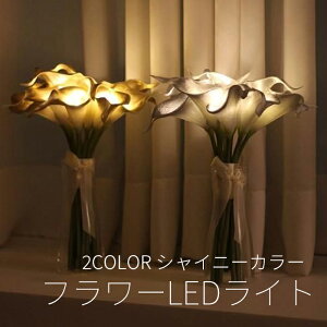 2F VCj[ J[u[P LED J[B A[gt[ u[PCg VIA K Ki ؍CeA  ̓Mtg ̓v[g ` p