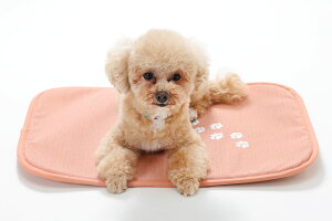 ɂz~VX}bg WE ʐ쉷 h ԊO }CiXCI VR O z~VX}bg WE ʐ쉷 h ԊO }CiXCI VR O G