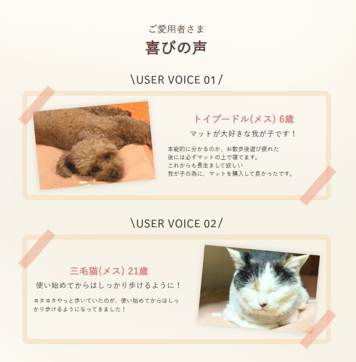 楽天市場】わんにゃんホルミシスマット ラジウム 玉川温泉 ラドン 遠 