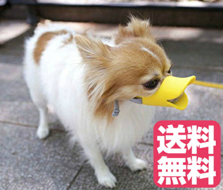 楽天市場 送料無料 口輪に見えないキュートな口輪 Sサイズ イエロー 黄色 犬の口輪 噛みつき 吠え 犬用の口輪 愛犬用口輪 愛犬のしつけ トイプードル チワワ ポメラニアンなど やわらかいシリコン素材 Rsl Happy Smiles