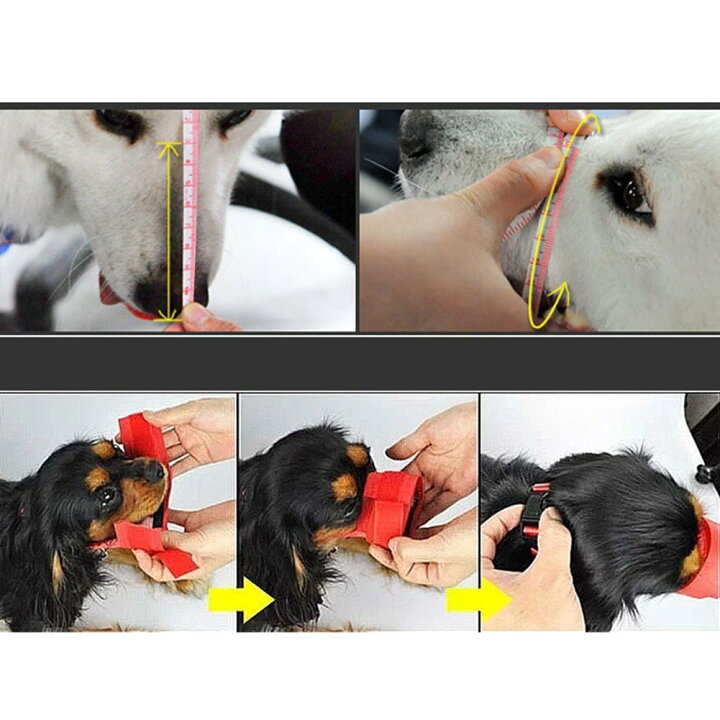 中古 犬用 口輪 ペット用 マスク あひる口の形口輪 犬用無駄吠え 拾い食い 噛みつき しつけ キズ舐め止め 家具の損傷を防ぐ 小型犬 中型犬 大 arkhitek.co.jp 中古 犬用 口輪 ペット用 マスク あひる口の形口輪 犬用無駄吠え 拾い食い 噛みつき しつけ キズ舐め止め 家具の損傷を防ぐ 小型犬 中型犬 大 arkhitek.co.jp