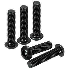 M5-0.8x20mm 六角穴付きボルト100個入り ロードバイク マウンテンバイク 自動車 オートバイに最適 炭素鋼黒酸化 六角穴付きボルト